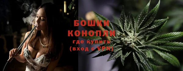 спайс Ельня