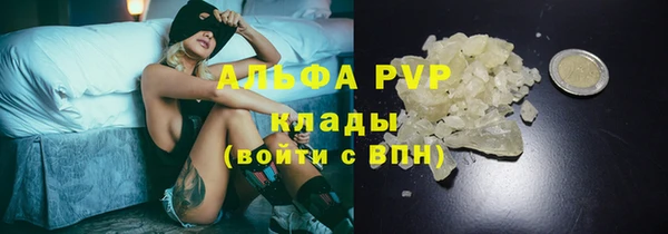 индика Тобольск