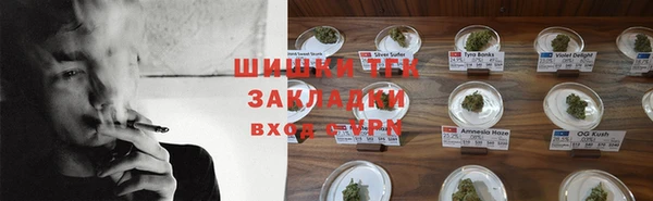 дурь Елабуга
