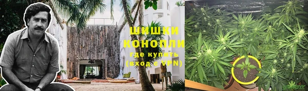 спайс Ельня