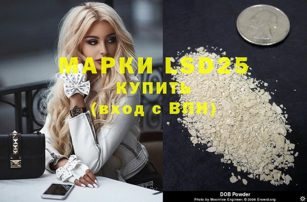 спиды Елизово